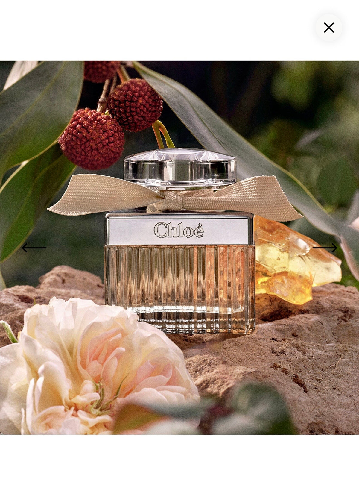 Velora Pure Rose – Kadın Parfümü